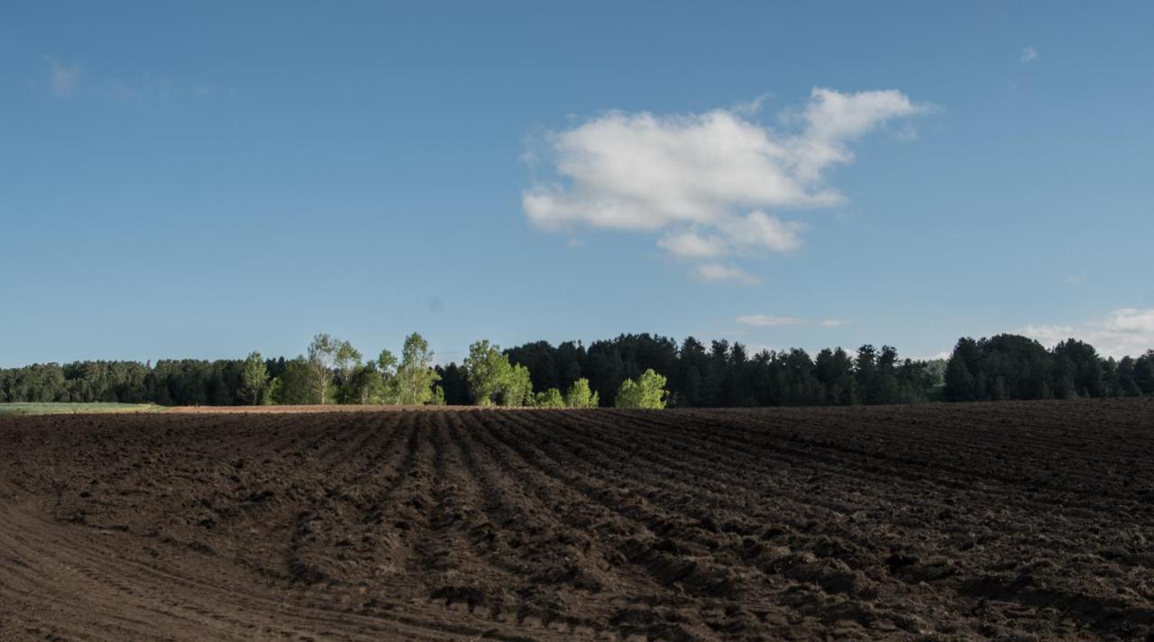 فيلا Agriturismo Biosila Acri المظهر الخارجي الصورة