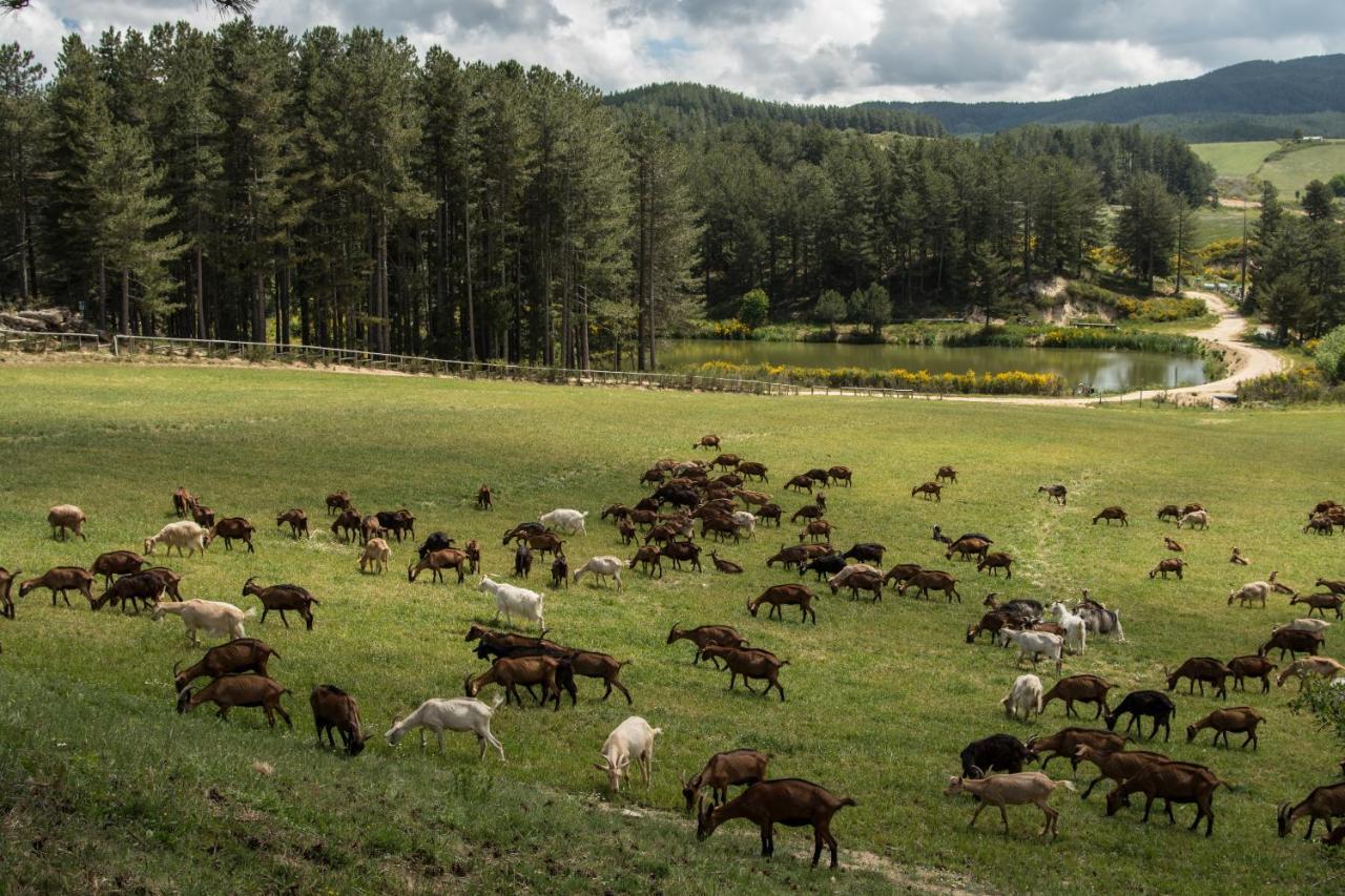 فيلا Agriturismo Biosila Acri المظهر الخارجي الصورة