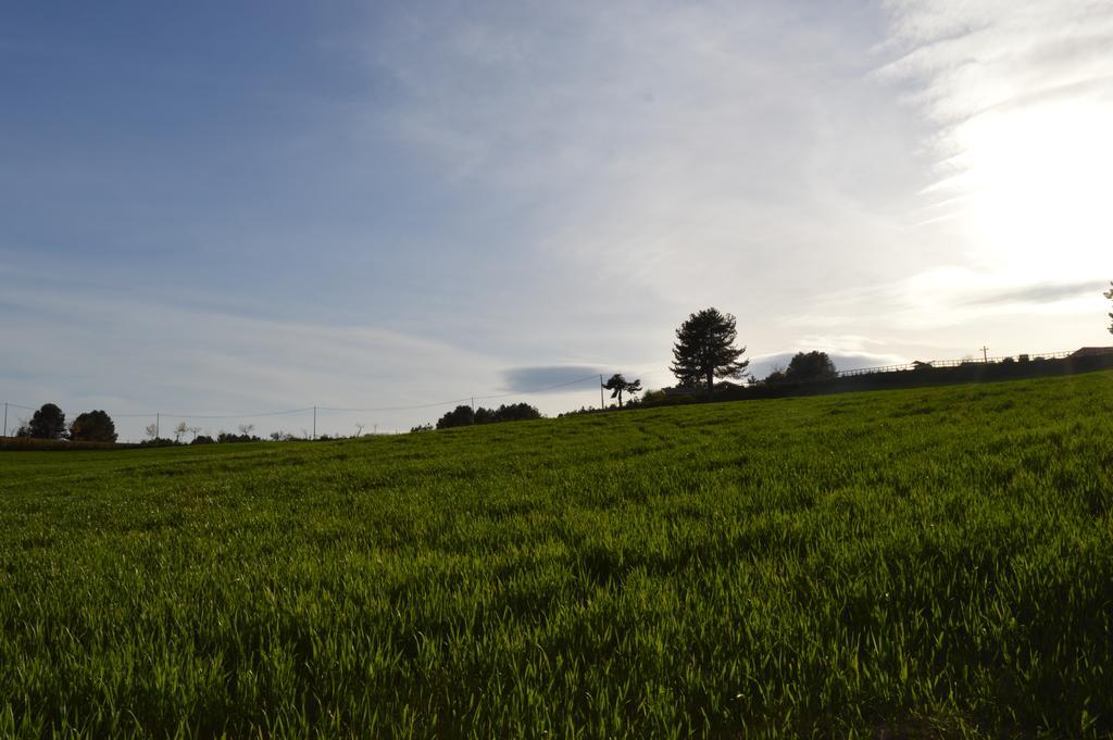 فيلا Agriturismo Biosila Acri المظهر الخارجي الصورة