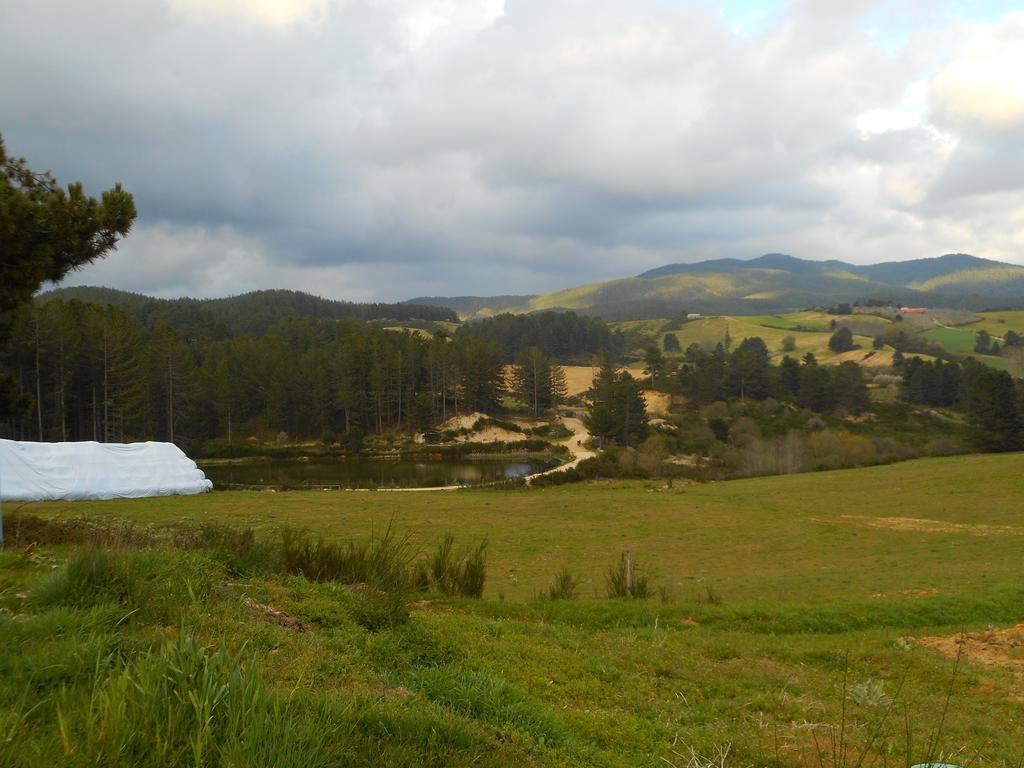 فيلا Agriturismo Biosila Acri المظهر الخارجي الصورة