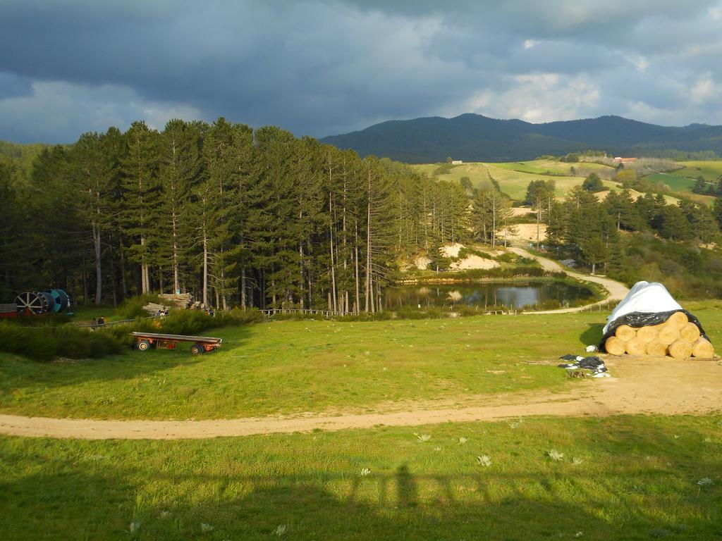 فيلا Agriturismo Biosila Acri المظهر الخارجي الصورة